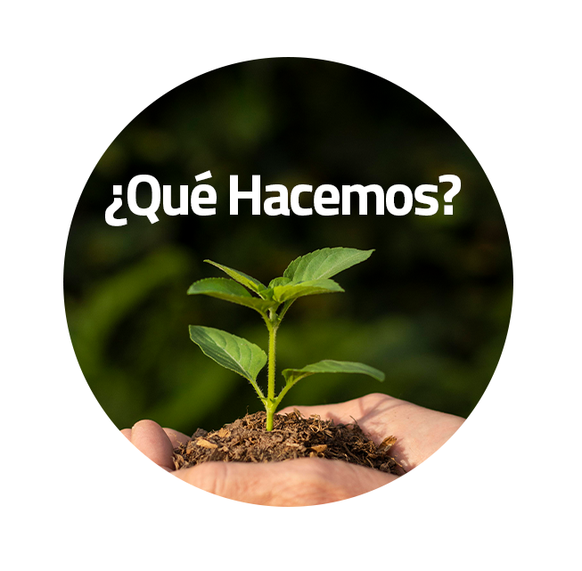 ¿Qué Hacemos?